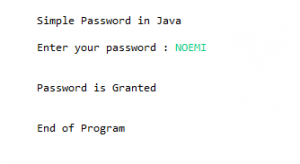 Simple Password in Java - Free Computer Programming Source Codes To All
